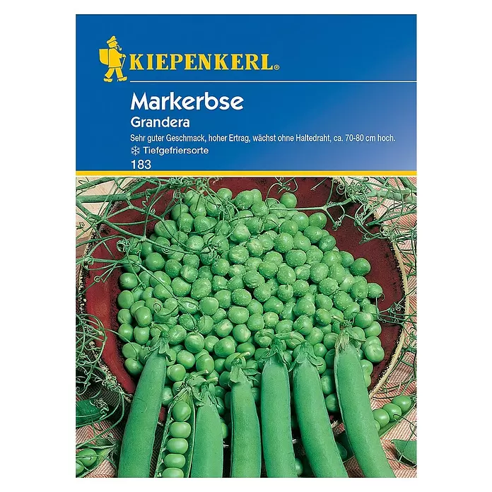 Kiepenkerl Gemüsesamen Markerbse Grandera - Pisum sativum, Erntezeit: Juni - Vorderansicht