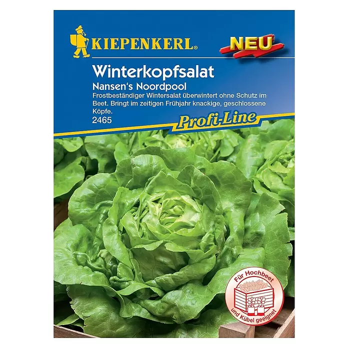 Kiepenkerl Profi-Line Salatsamen Winterkopfsalat - Lactuca sativa var. capitata, Erntezeit: März - Vorderansicht