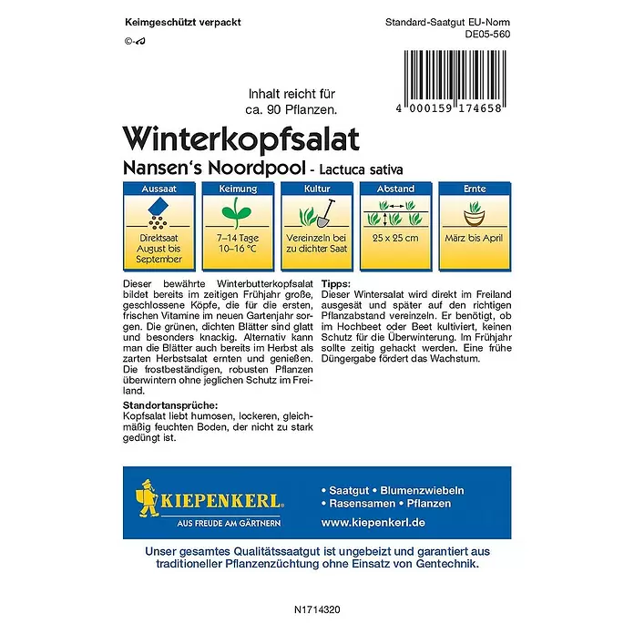 Kiepenkerl Profi-Line Salatsamen Winterkopfsalat - Lactuca sativa var. capitata, Erntezeit: März - Rückansicht