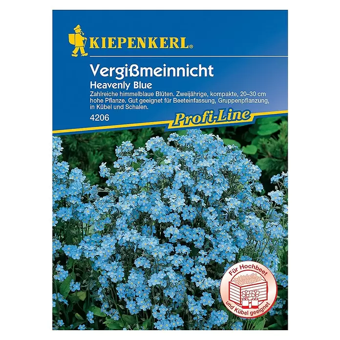 Kiepenkerl Profi-Line Blumensamen Vergissmeinnicht - Myosotis sylvatica - Vorderansicht