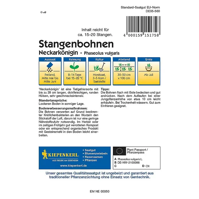 Kiepenkerl Gemüsesamen Stangenbohne Neckarkönigin - Phaseolus vulgaris var. vulgaris, Erntezeit: Juli - Rückansicht