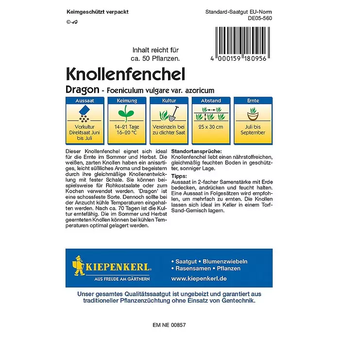 Kiepenkerl Profi-Line Gemüsesamen Knollenfenchel Dragon - Foeniculum vulgare var. azoricum, Erntezeit: Juli - Rückansicht