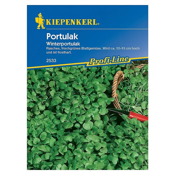 Kiepenkerl Profi-Line Saatgut Winterportulak - Montia perfoliata - Vorderansicht