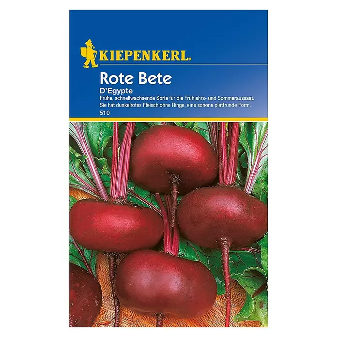Kiepenkerl Gemüsesamen Rote Bete - Beta vulgaris var. vulgaris, Erntezeit: Juli - Vorderansicht