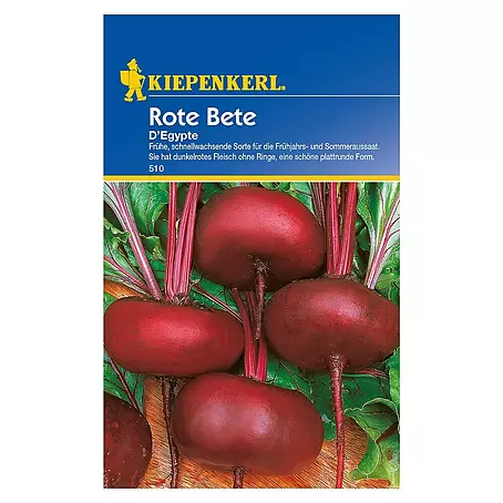 Kiepenkerl  Gemüsesamen Rote Bete