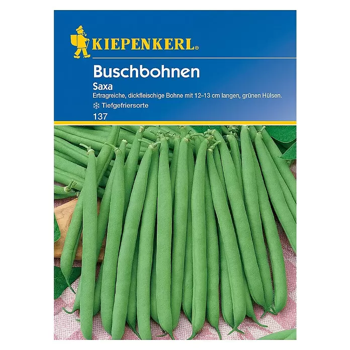 Kiepenkerl Gemüsesamen Buschbohne - Saxa, Phaseolus vulgaris var. nanus, Erntezeit: Juli - Vorderansicht