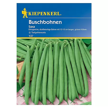 Kiepenkerl  Gemüsesamen Buschbohne