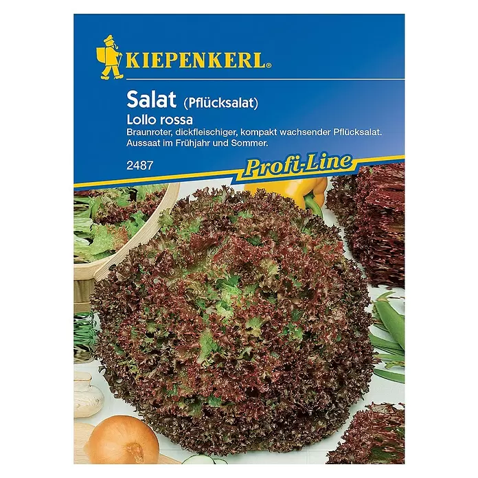 Kiepenkerl Profi-Line Salatsamen Pflücksalat rossa - Lactuca sativa var. crispa, Erntezeit: Mai - Vorderansicht