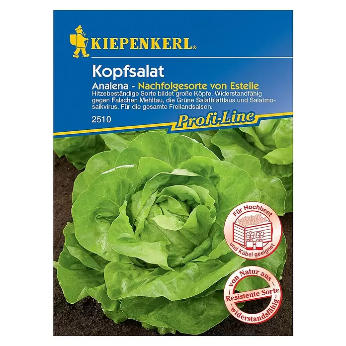 Kiepenkerl Profi-Line Salatsamen Kopfsalat - Lactuca sativa var. capitata, Erntezeit: Mai - Vorderansicht