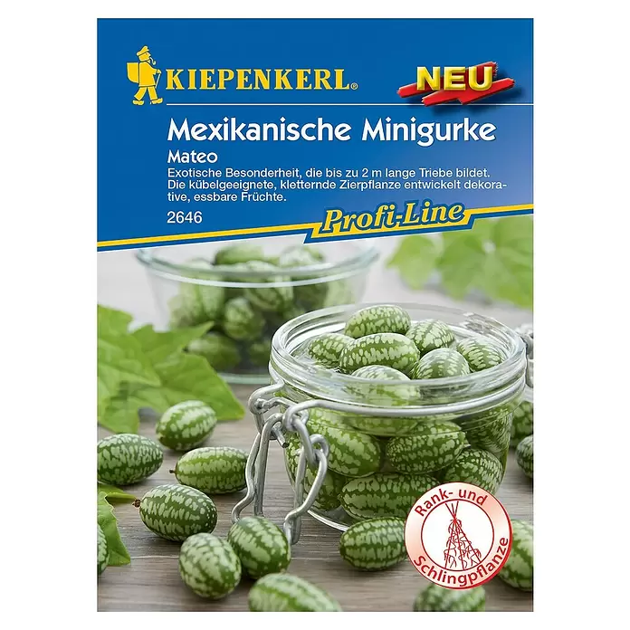 Kiepenkerl Profi-Line Gemüsesamen Mexikanische Minigurke - Melothria scabra, Erntezeit: September - Vorderansicht