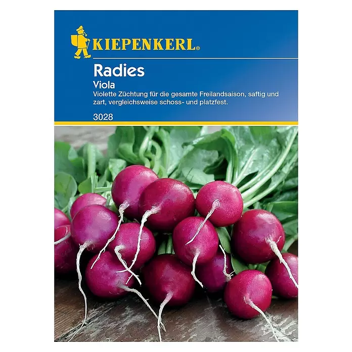 Kiepenkerl Gemüsesamen Radieschen - Viola, Raphanus sativus var. sativus, Erntezeit: April - Vorderansicht