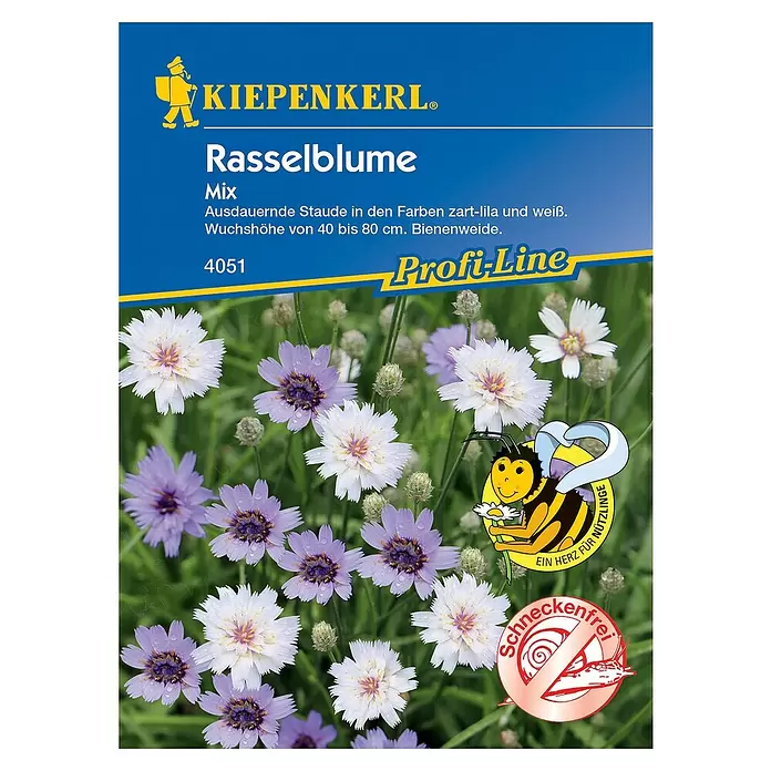 Kiepenkerl Profi-Line Blumensamen Rasselblume - Catanache caerulea - Vorderansicht