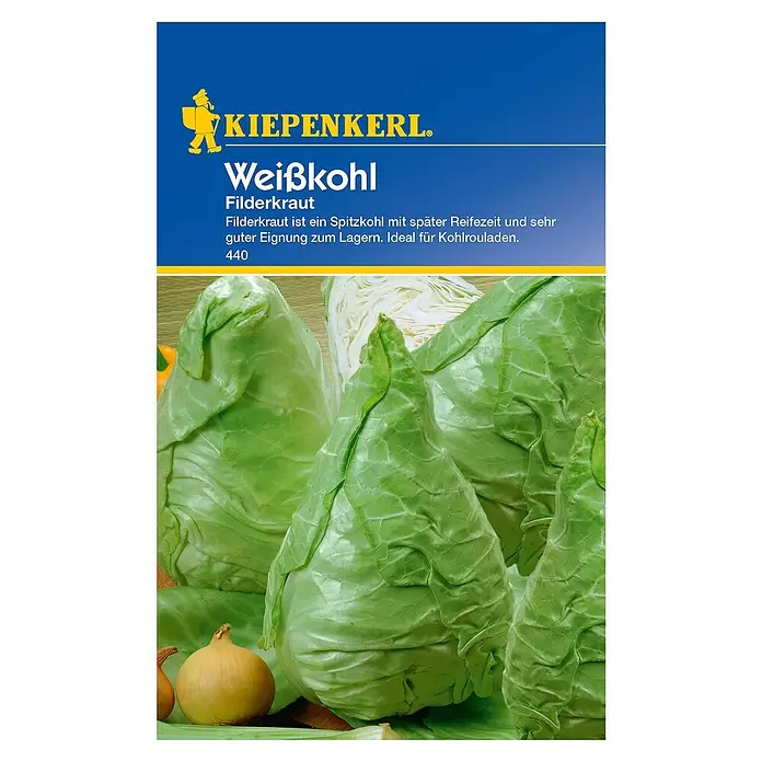 Kiepenkerl Gemüsesamen Weißkohl - Brassica oleracea var. capitata f. alba, Erntezeit: September - Vorderansicht