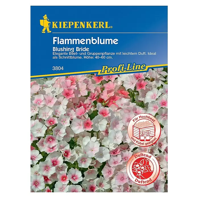 Kiepenkerl Profi-Line Blumensamen Flammenblume - Phlox drummondii - Vorderansicht
