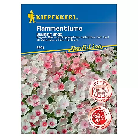 Kiepenkerl Profi-Line Blumensamen Flammenblume