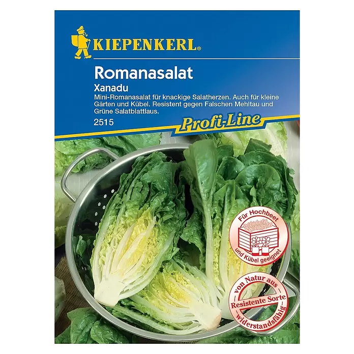 Kiepenkerl Profi-Line Salatsamen Romanasalat - Lactuca sativa var. longifolia, Erntezeit: Mai - Vorderansicht