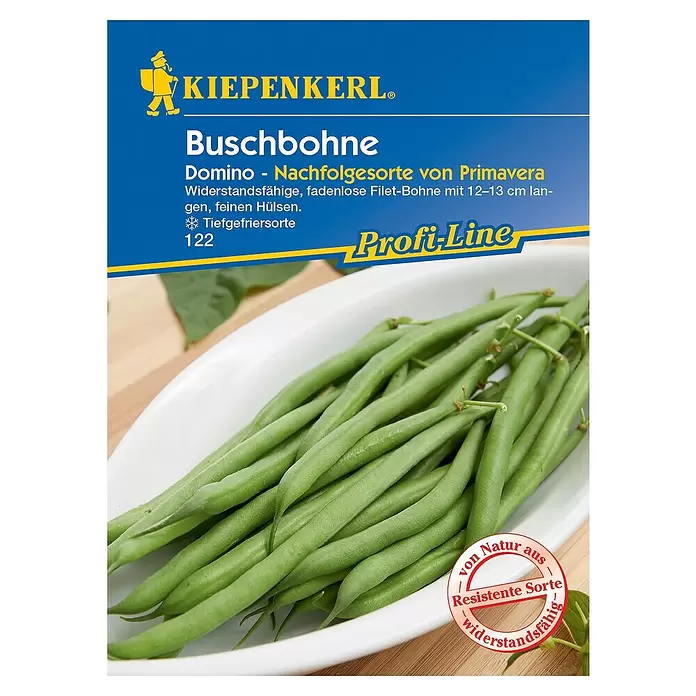 Kiepenkerl Profi-Line Gemüsesamen Buschbohne - Domino, Phaseolus vulgaris, Erntezeit: Juli - Vorderansicht