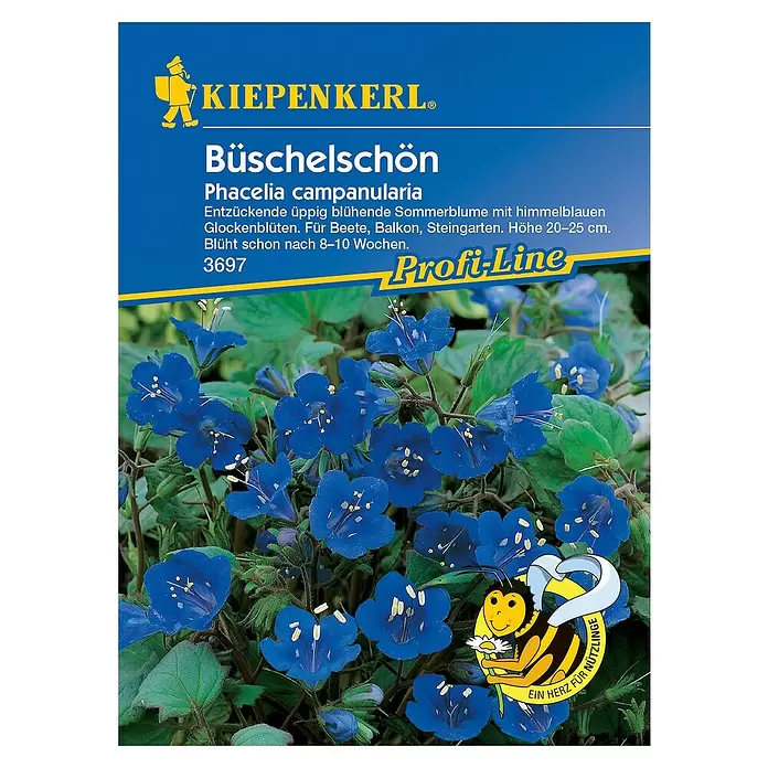 Kiepenkerl Profi-Line Blumensamen Büschelschön - Phacelia campanularia - Vorderansicht