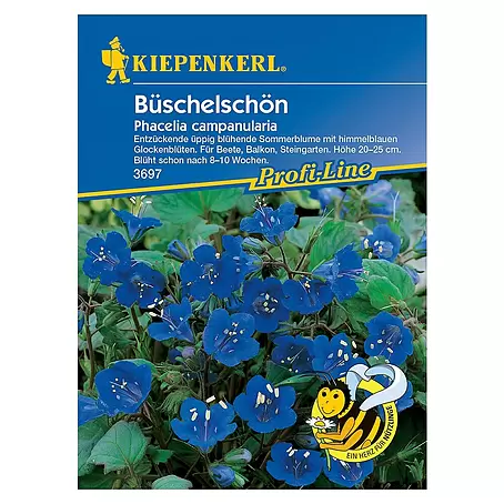 Kiepenkerl Profi-Line Blumensamen Büschelschön