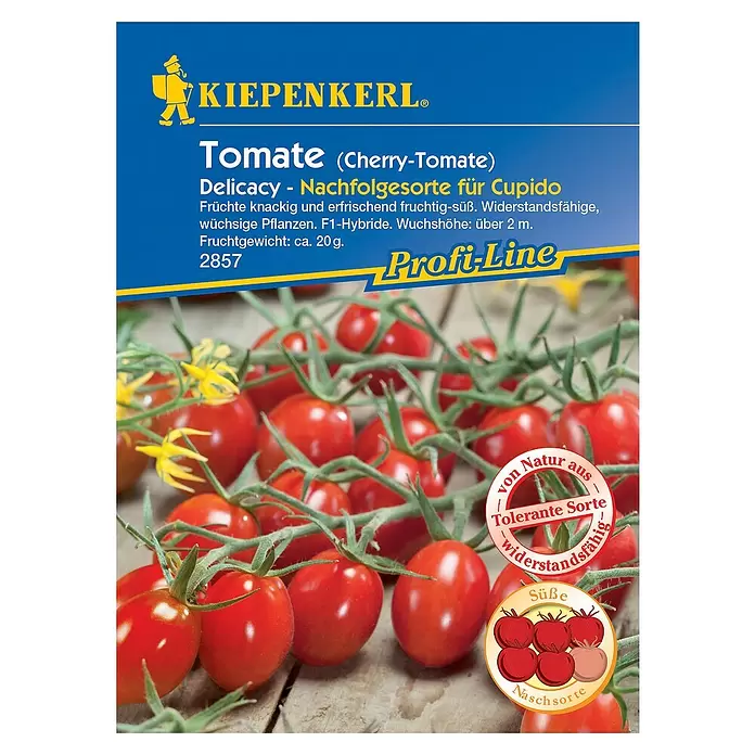 Kiepenkerl Profi-Line Gemüsesamen Cherry-Tomate Delicacy - Solanum lycopersicum, Erntezeit: Juli - Vorderansicht