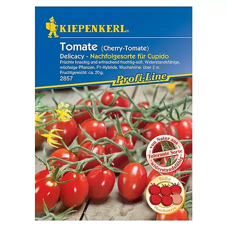 Kiepenkerl Profi-Line Gemüsesamen Cherry-Tomate Delicacy