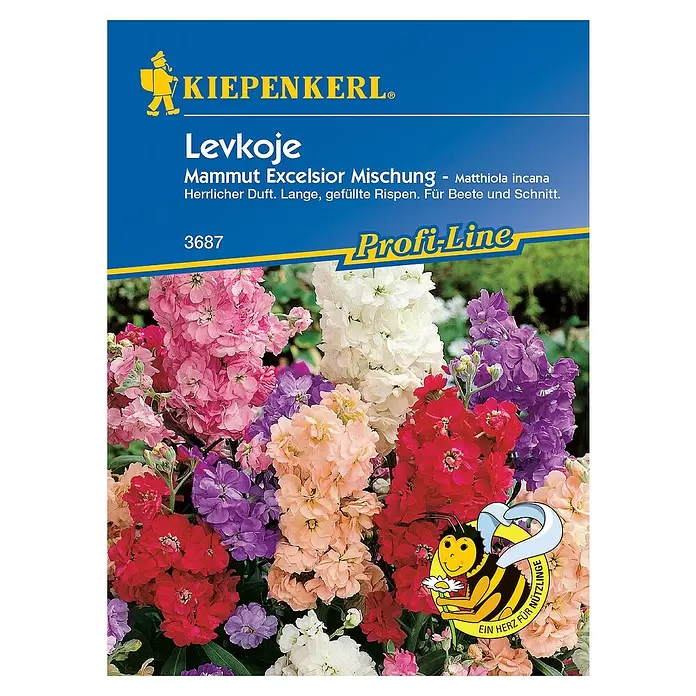 Kiepenkerl Profi-Line Blumensamen BIO Ringelblume - Matthiola incana - Vorderansicht