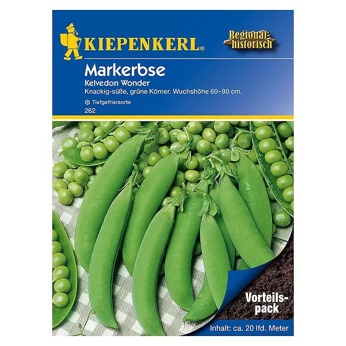 Kiepenkerl Gemüsesamen Markerbse Kelvedon Wonder Vorteilspack - Pisum sativum, Erntezeit: Juni - Vorderansicht