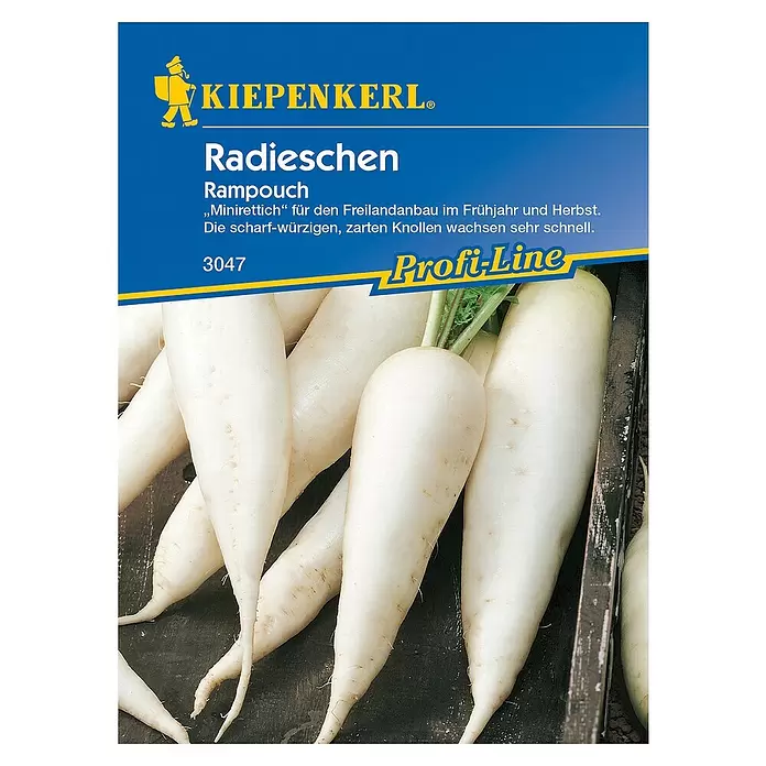 Kiepenkerl Profi-Line Gemüsesamen Rampouch - Raphanus sativus, Erntezeit: April - Vorderansicht