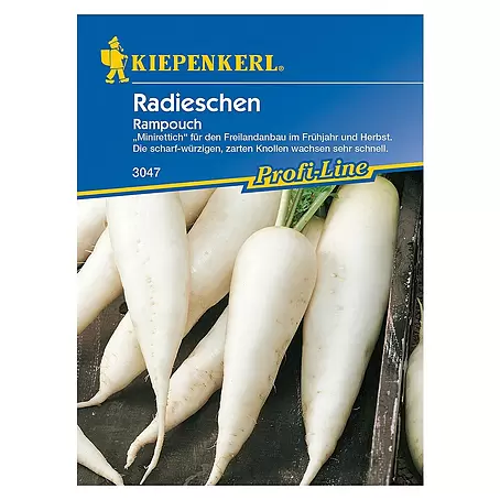Kiepenkerl Profi-Line Gemüsesamen Rampouch