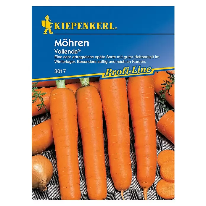 Kiepenkerl Gemüsesamen Möhre - Vollenda, Daucus carota ssp. sativus, Erntezeit: August - Vorderansicht