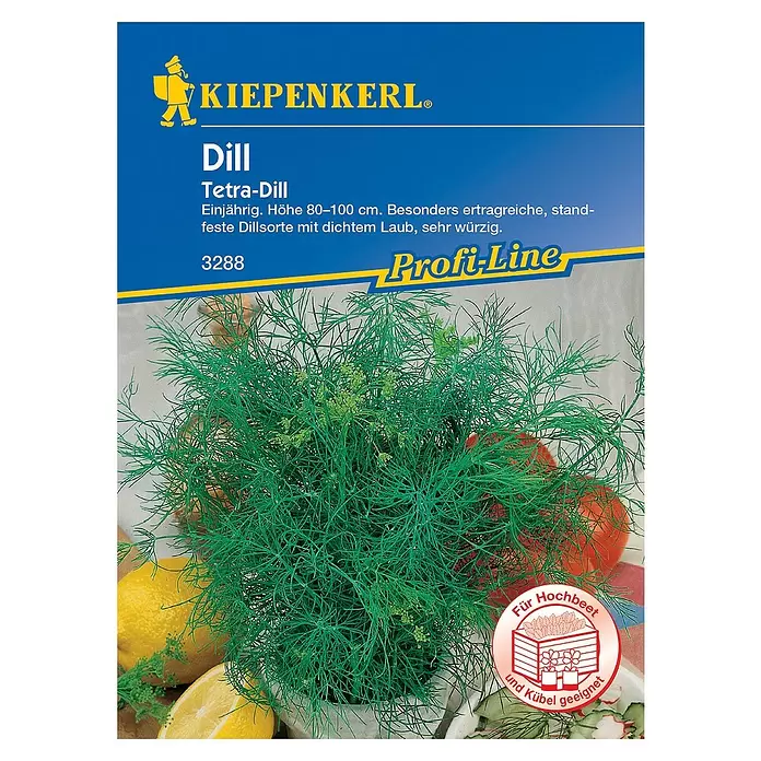 Kiepenkerl Profi-Line Kräutersamen Dill - Anethum graveolens var. hortorum, Saatzeit: Mai, Erntezeit: Juni - Vorderansicht