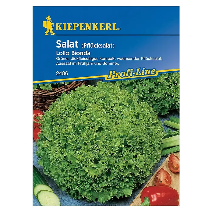 Kiepenkerl Profi-Line Salatsamen Pflücksalat - Lactuca sativa var. crispa, Erntezeit: Mai - Vorderansicht