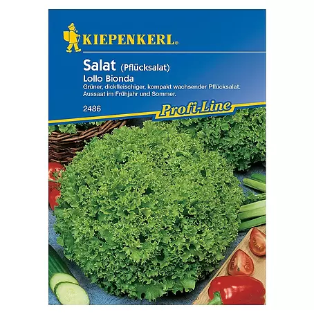 Kiepenkerl Profi-Line Salatsamen Pflücksalat