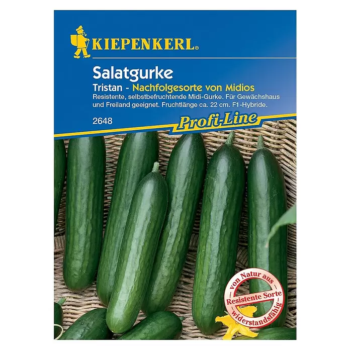 Kiepenkerl Profi-Line Gemüsesamen Salatgurke - Tristan F1, Cucumis sativus, Erntezeit: Juli - Vorderansicht