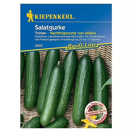 Kiepenkerl Profi-Line Gemüsesamen Salatgurke