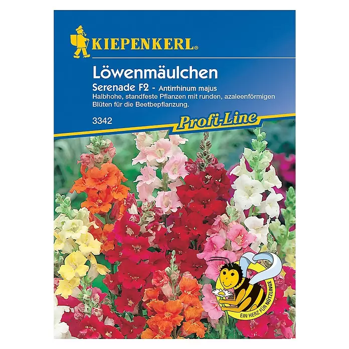 Kiepenkerl Profi-Line Blumensamen Löwenmäulchen - Serenade F1, Antirrhinum majus - Vorderansicht