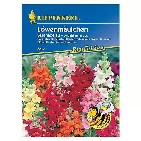 Kiepenkerl Profi-Line Blumensamen Löwenmäulchen