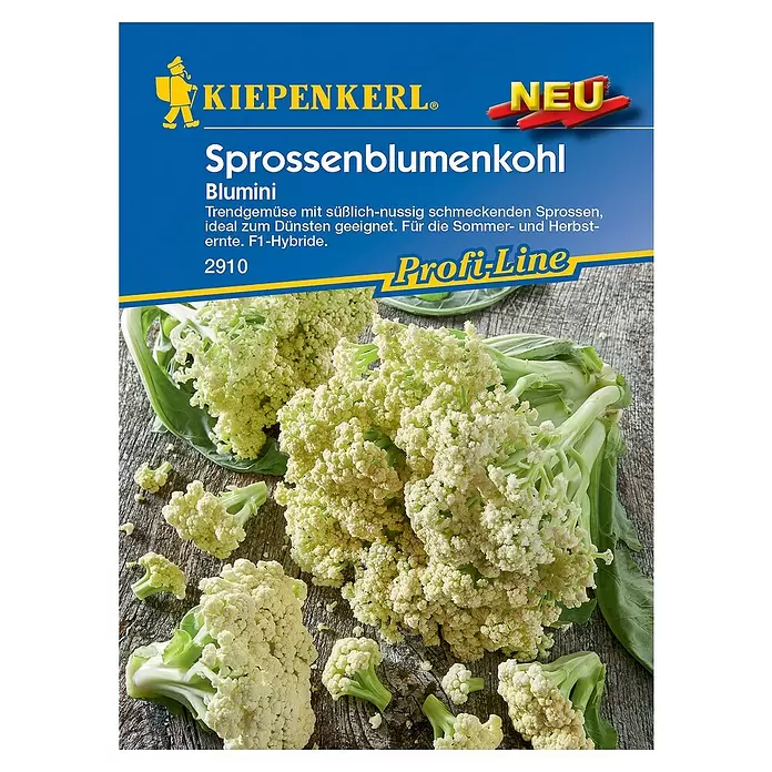 Kiepenkerl Profi-Line Gemüsesamen Sprossenblumenkohl Blumini - Brassica oleracea var. botrytis, Erntezeit: August - Vorderansicht