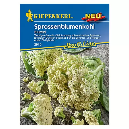 Kiepenkerl Profi-Line Gemüsesamen Sprossenblumenkohl Blumini