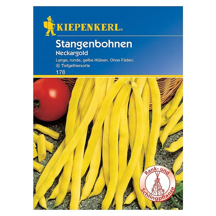 Kiepenkerl Gemüsesamen Stangenbohne Neckargold - Phaseolus vulgaris var. vulgaris, Erntezeit: Juli - Vorderansicht