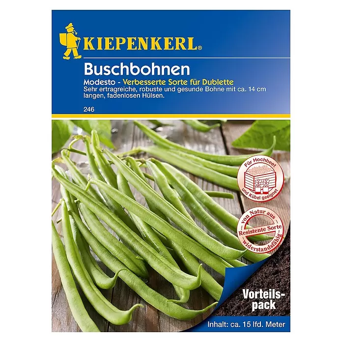 Kiepenkerl Gemüsesamen Buschbohne - Modesto - Vorteilspack, Phaseolus vulgaris, Erntezeit: Juli - Vorderansicht