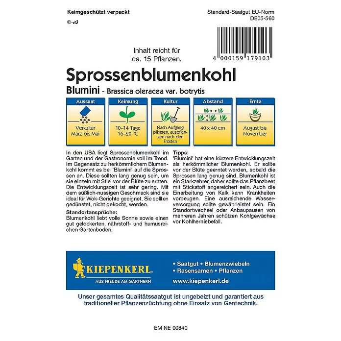Kiepenkerl Profi-Line Gemüsesamen Sprossenblumenkohl Blumini - Brassica oleracea var. botrytis, Erntezeit: August - Rückansicht