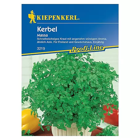 Kiepenkerl Profi-Line Kräutersamen Kerbel
