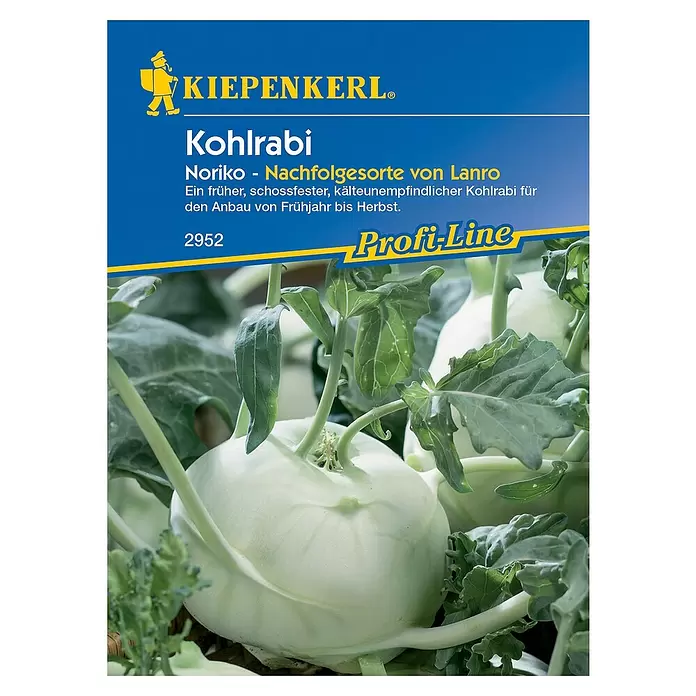 Kiepenkerl Profi-Line Gemüsesamen Kohlrabi Noriko - Brassica oleracea var. gongylodes, Erntezeit: Mai - Vorderansicht