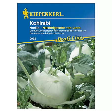 Kiepenkerl Profi-Line Gemüsesamen Kohlrabi Noriko