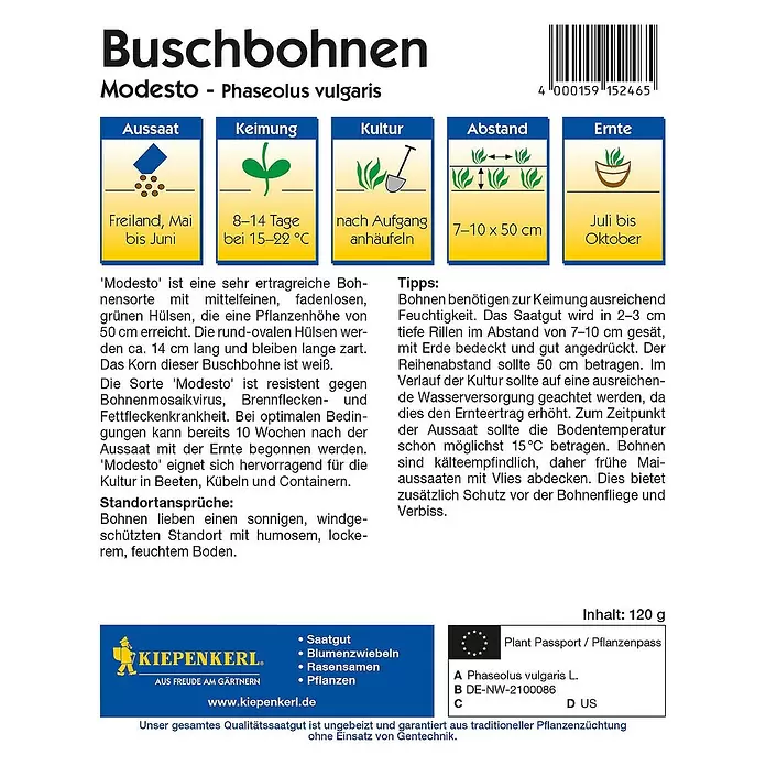 Kiepenkerl Gemüsesamen Buschbohne - Modesto - Vorteilspack, Phaseolus vulgaris, Erntezeit: Juli - Rückansicht