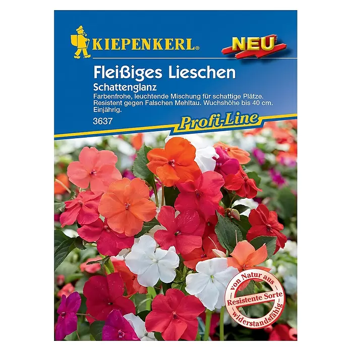 Kiepenkerl Profi-Line Blumensamen Fleißiges Lieschen - Impatiens walleriana - Vorderansicht