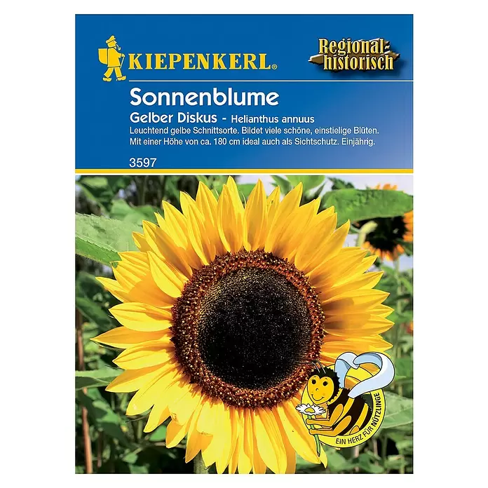 Kiepenkerl Blumensamen Sonnenblume - Gelber Diskus, Helianthus annuus - Vorderansicht