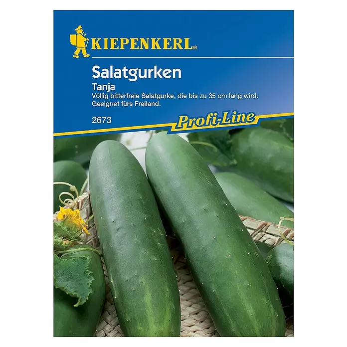 Kiepenkerl Profi-Line Gemüsesamen Salatgurke - Tanja, Cucumis sativus, Erntezeit: Juli - Vorderansicht