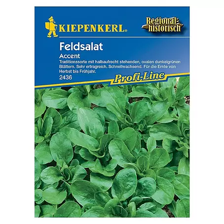 Kiepenkerl Profi-Line Salatsamen Feldsalat